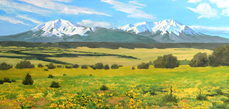 Yellow Blanket of Flowers with Spanish Peaks 18"x36" oil on gallery wrap canvas $450